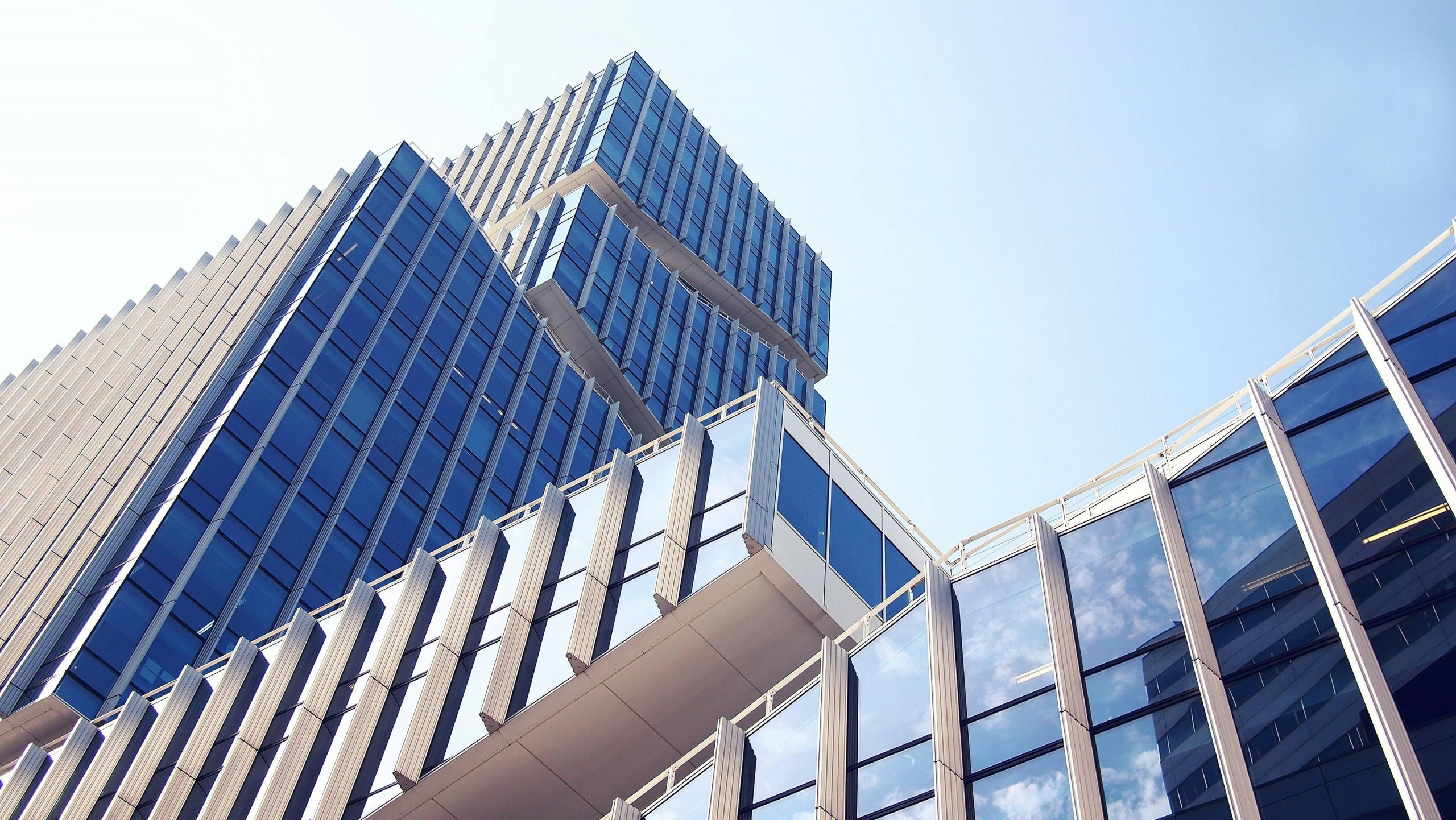 What was the year like for the law firm?